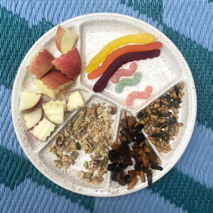 Plate of food with seeds, nuts, fruits to pretend to eat like a bird