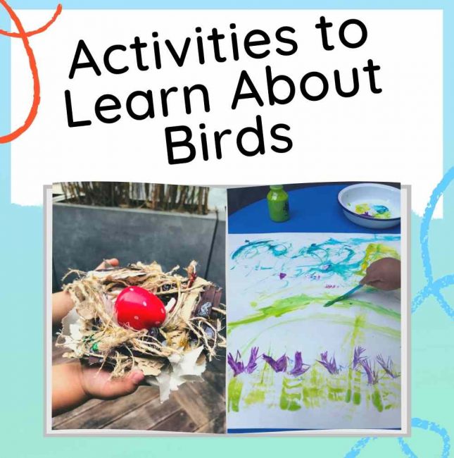 Learn About Birds for Preschoolers - Fun activities and resources - Image with Text