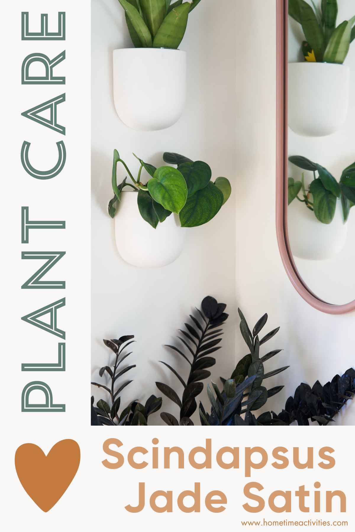Scindapsus Jade Satin Pinterest
